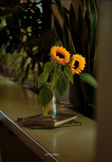 Sunflowers on a stack of books at the window ledge